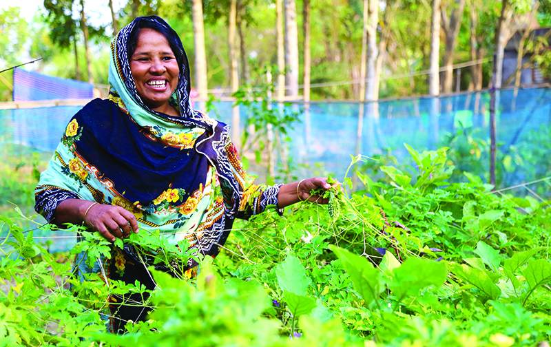Agriculture — The Saviour