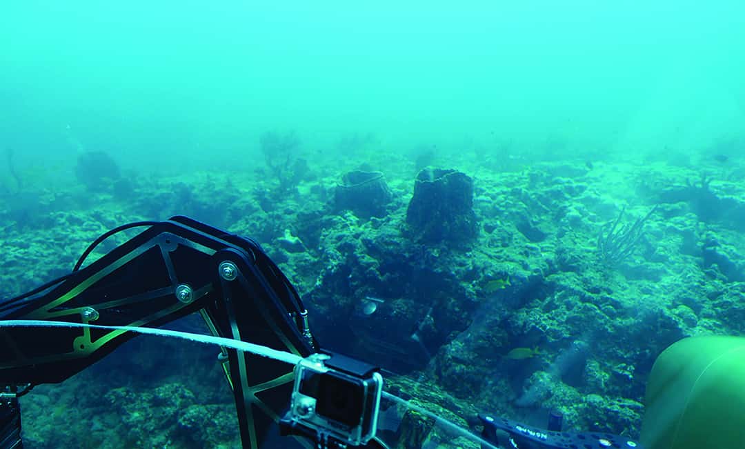 Deep Seabed Mining, Quest for Treasure from the Ocean Floor